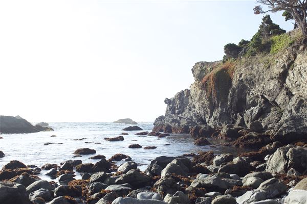 Belinda Point Public Access Trail (7/31/2018 - Credits: Kellen Lim)