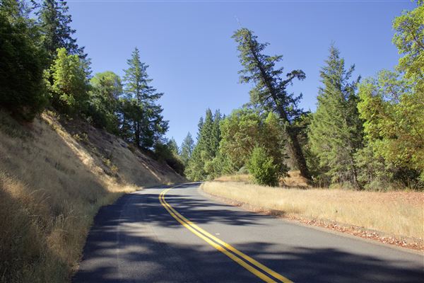 Mountain View Road - Mountain View Road - along ridge line (8/1/2018 - Credits: Kellen Lim)