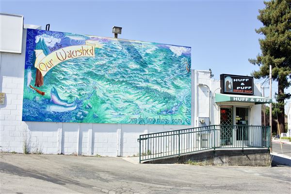 Willits Downtown Murals (9/3/2018 - Credits: Kellen Lim)