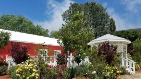 Freedom Ranch - Shadowlands Foundation - Wolves in California (1/7/2019)