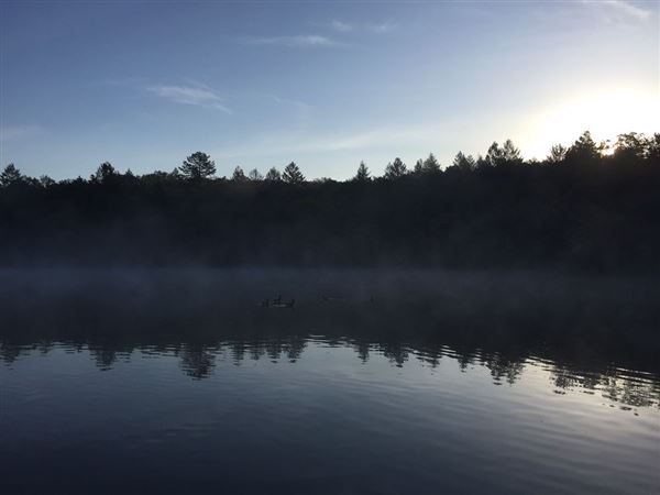 Howarth Park (4/3/2019)