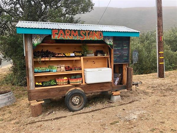 Wavelength Farm - Actual date taken unknown. (4/2/2019 - Credits: Renee Bertrand)