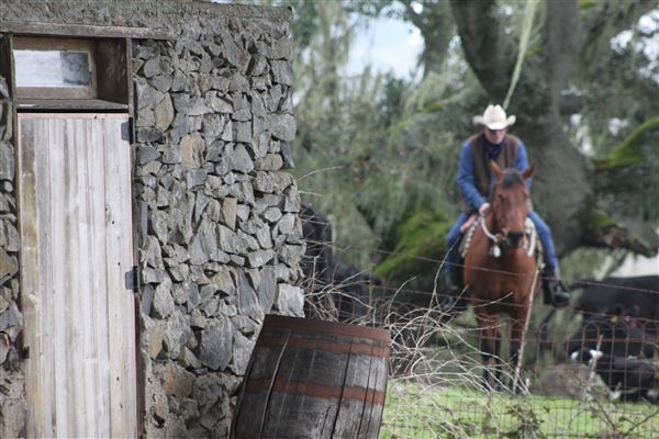 Bees Rock Ranch (5/22/2019)