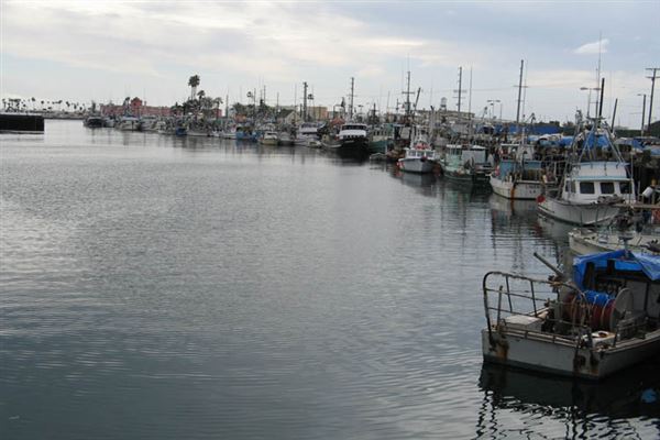 Port of Los Angeles - POLA / West Harbor / AltaSea Research Campus / Wilmington Waterfront Promenade (6/1/2019 - Credits: LocoScout)
