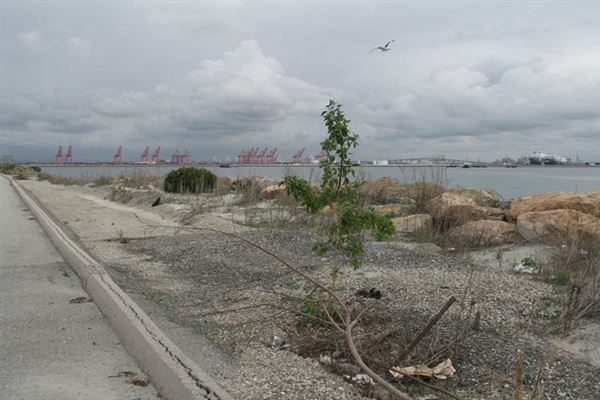 Port of Los Angeles - POLA / West Harbor / AltaSea Research Campus / Wilmington Waterfront Promenade (6/1/2019 - Credits: LocoScout)
