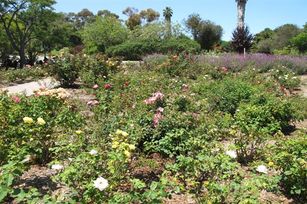 South Coast Botanic Garden (6/1/2019 - Credits: LocoScout)