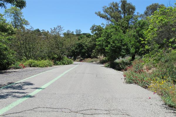 South Coast Botanic Garden (6/1/2019 - Credits: LocoScout)