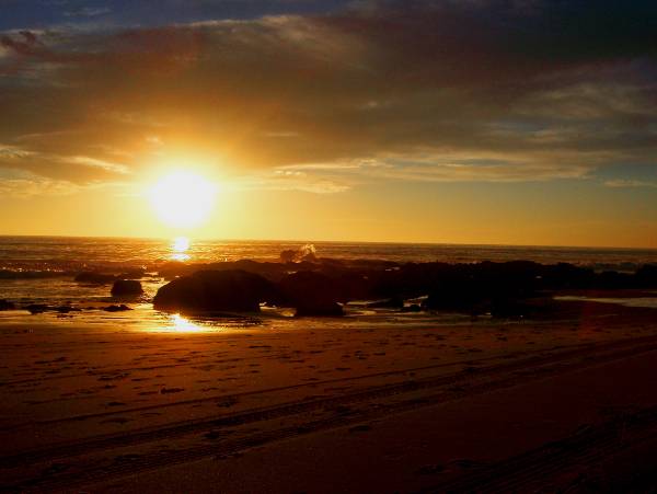 Crystal Cove State Park (SP) (12/31/2003)