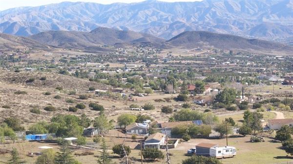 2nd home dog boarding