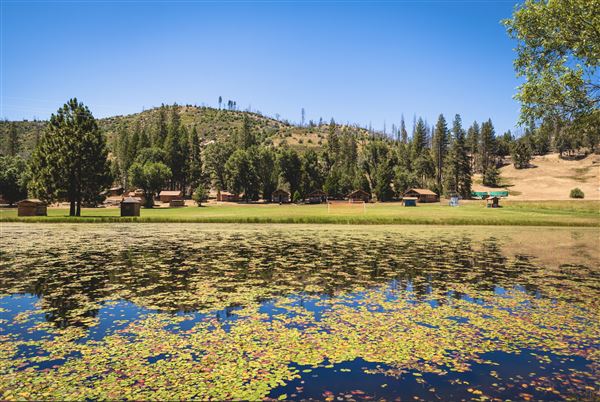 Camp Tawonga (7/17/2019 - Credits: Camp Tawonga)