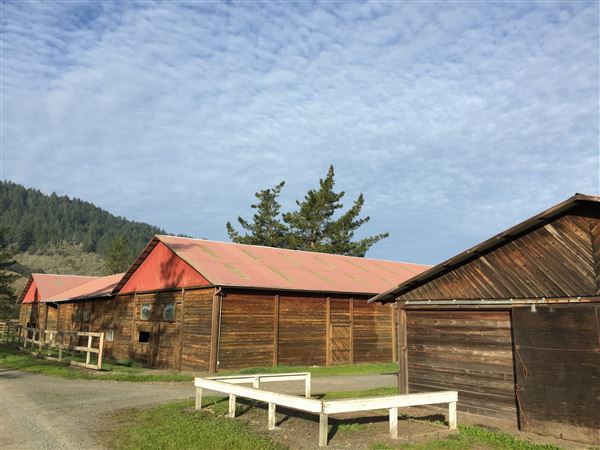 Alpine Ranch (10/20/2019 - Credits: Caitlin O Reilly / Marcel)