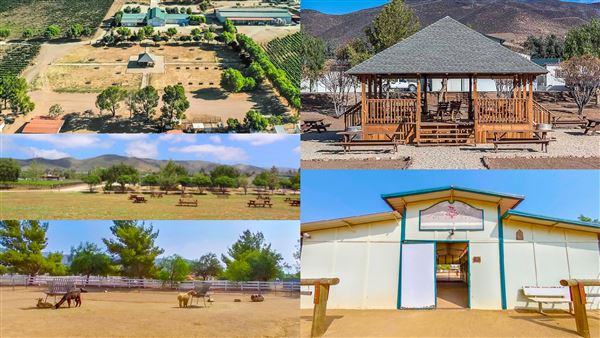 Agua Dulce Winery and Vineyards (9/21/2020 - Credits: Kevin Dole - Home3D.us - 818 568 8876)