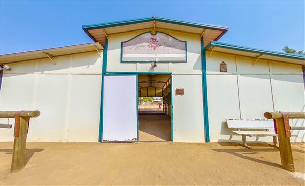 Agua Dulce Winery and Vineyards (9/23/2020 - Credits: Kevin Dole - Home3D.us - 818 568 8876)