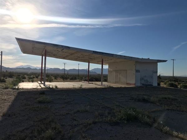 Road Runner's Retreat (10/15/2020 - Credits: Ryan Anderson)