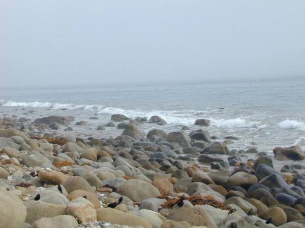 El Capitan State Beach (SB) (12/31/2003)