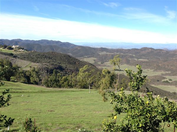Malibu Acres (10/7/2021)