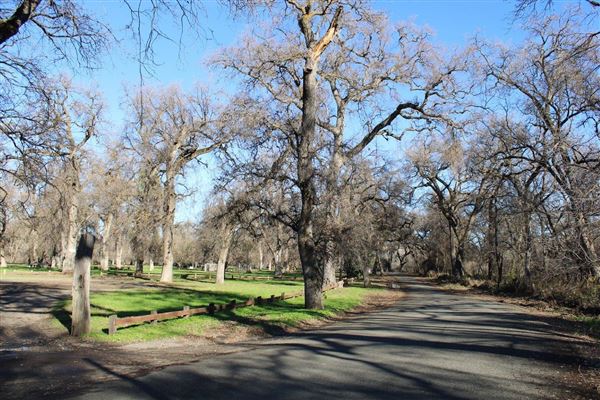 Cone Grove Park (3/1/2022 - Credits: Film Tehama)