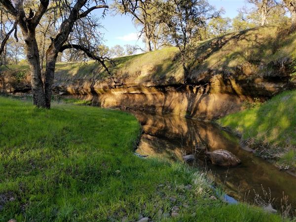Payne's Creek Wetlands (3/1/2022 - Credits: Film Tehama)