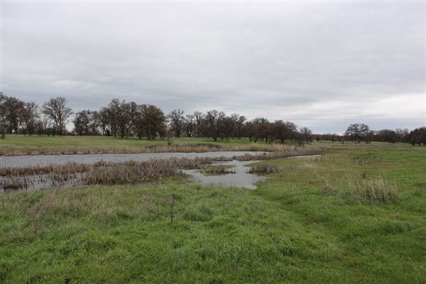Payne's Creek Wetlands (3/1/2022 - Credits: Film Tehama)