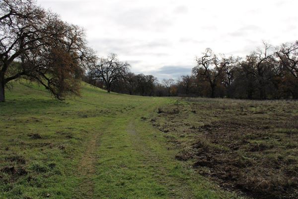 Sacramento River Bend (3/1/2022 - Credits: Film Tehama)