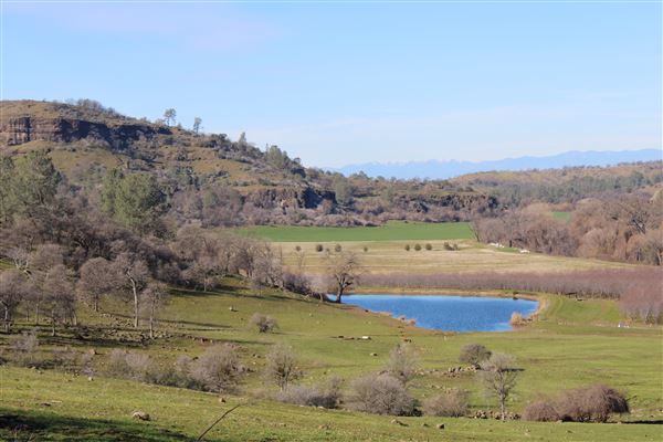 Meadowbrook Ranch (3/1/2022 - Credits: Film Tehama)