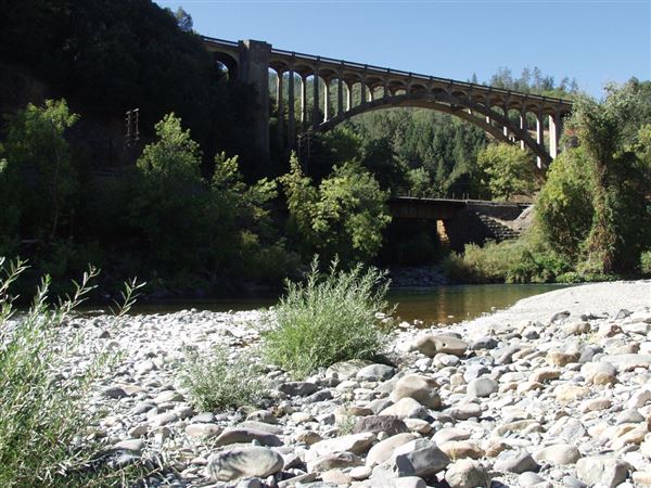 Dog Creek Bridge - Highway 5 (8/9/2019)