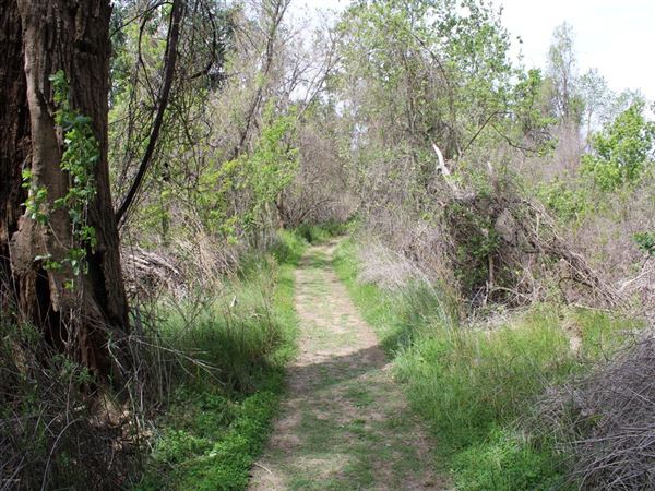 Bobbelaine Sanctuary Loop (4/11/2022 - Credits: Yuba Sutter Film Commission)