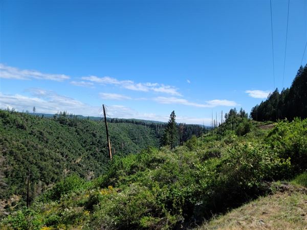New Bullards Bar Reservoir (4/11/2022 - Credits: Yuba Sutter Film Commission)