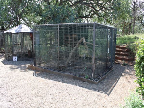 West Coast Falconry (4/11/2022 - Credits: Yuba Sutter Film Commission)