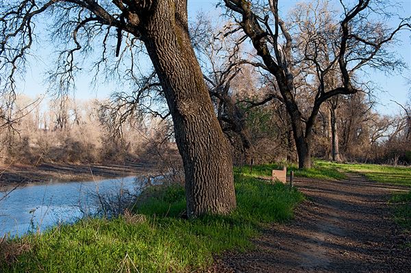 Bidwell-Sacramento River State Park (SP) (3/7/2012 - Credits: Brian Baer)