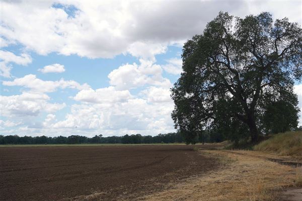 Various Rural Farms And Ranches (8/9/2022)
