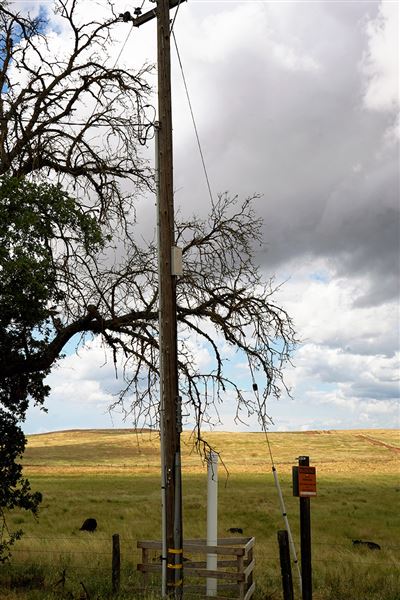 Various Rural Farms And Ranches (8/9/2022)