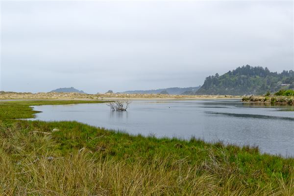 Little River State Beach (SB) (4/14/2014 - Credits: Brian Baer)