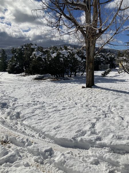 Red Skelton ranch (12/21/2021 - Credits: Bogdana Whitaker)
