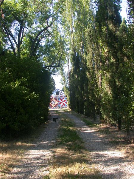 Hollyhock Country Ranch (1/1/2004 - Credits: Lucille Rella Clohessy)