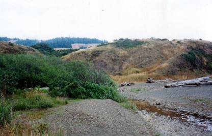 Sandy Cove Beach @ Fort Ross State Historic Park (SHP) (12/31/2003)