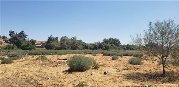 60 acres of vacant raw land - Perris CA (9/20/2019 - Credits: Angela King)