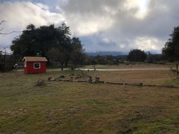 Red Thorne Ranch / The Barn Loft / Mini Petting Zoo (3/23/2023 - Credits: Amber Thorne)