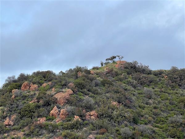 Canyon Ranch (4/3/2023 - Credits: Provided by Julie Hoffman)