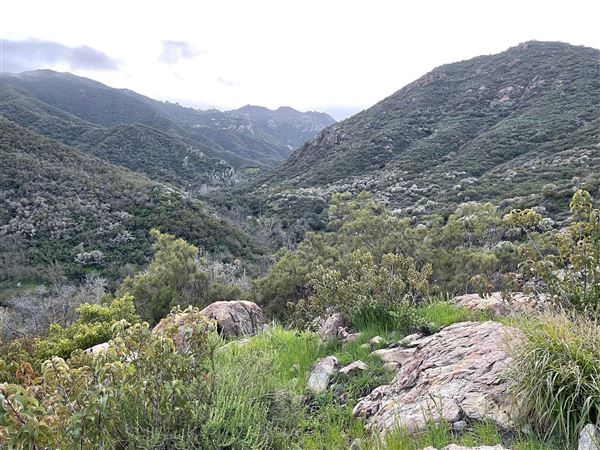 Canyon Ranch (4/3/2023 - Credits: Provided by Julie Hoffman)