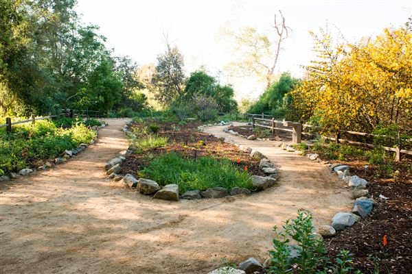 William R. Mason Regional Park (3/15/2017 - Credits: Provided By OC Parks 4-14-23)