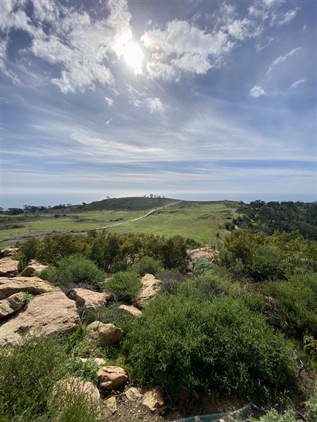 Charmlee Wilderness Park (6/13/2023)