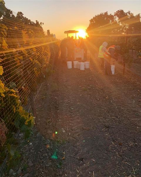 Santa Barbara Wine Country (6/16/2023 - Credits: George Rose)