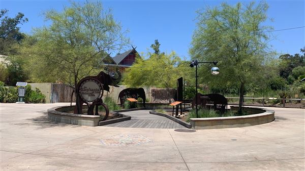 Los Angeles Zoo & Botanical Gardens - LA Zoo (6/25/2023 - Credits: Brandy Davis)