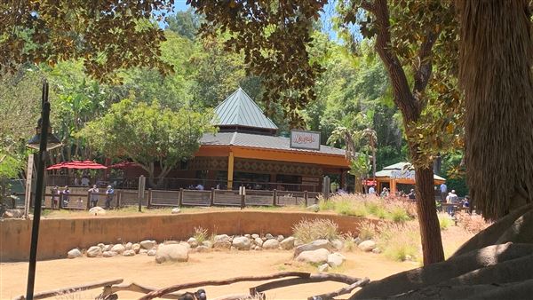 Los Angeles Zoo & Botanical Gardens - LA Zoo (6/25/2023 - Credits: Brandy Davis)