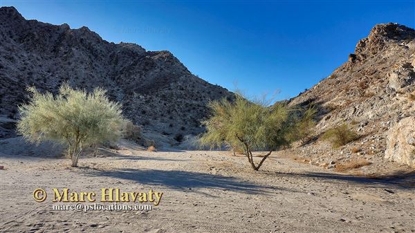 Lake Cahuilla Veterans Regional Park (6/29/2023 - Credits: Marc Hlavaty)