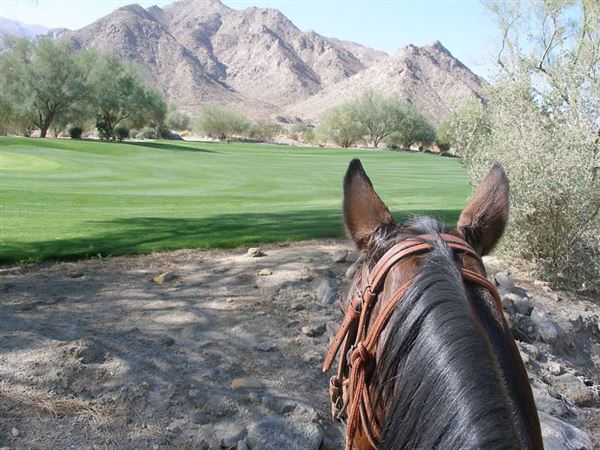 Lake Cahuilla Veterans Regional Park (10/16/2015)