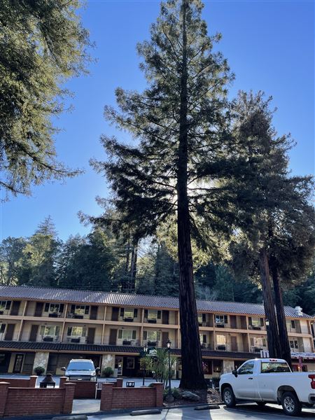 Historic Brookdale Lodge - Santa Cruz Mountains (1/20/2023 - Credits: Brookdale Lodge, JC Azpeitia)