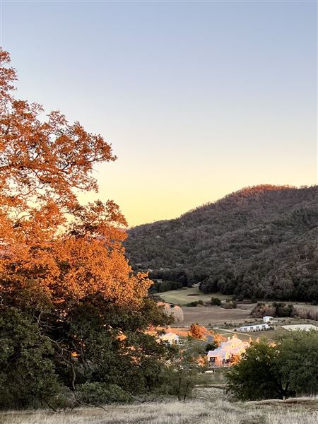 Red Cloud Ranch (1/20/2022 - Credits: Red Cloud Ranch)