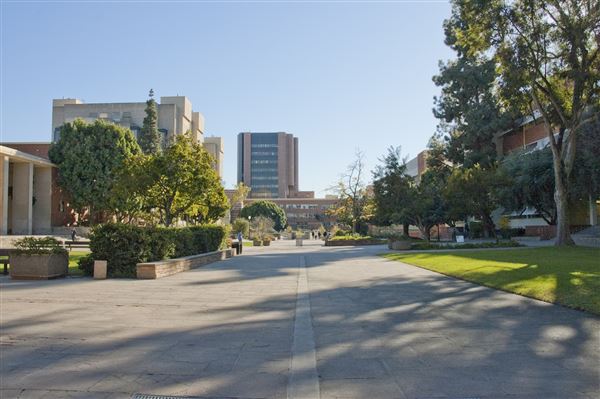 University of California, Los Angeles - UCLA (8/4/2023 - Credits: University of California, Los Angeles - UCLA)